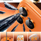 TOCOL Camera Lens Protector for iPhone 17 Pro Max/iPhone 17 Pro Tempered Glass HD Individual Scratch Resistant Camera Cover Accessories Case Friendly 2 Pack（Orange）